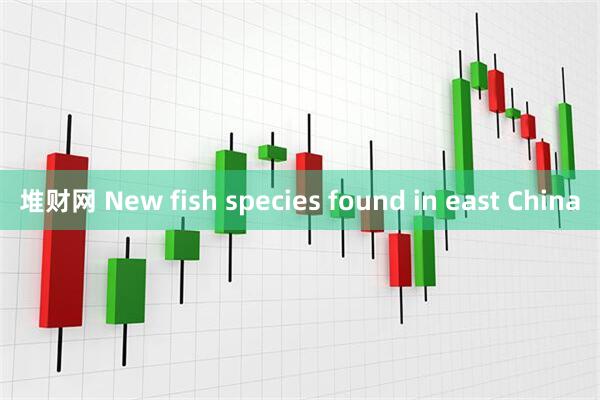 堆财网 New fish species found in east China