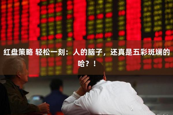 红盘策略 轻松一刻：人的脑子，还真是五彩斑斓的哈？！
