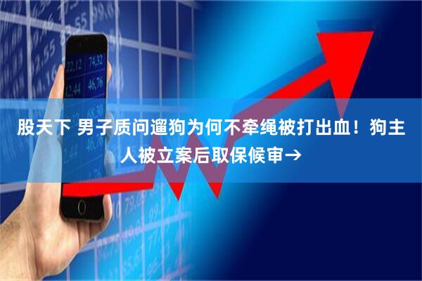 股天下 男子质问遛狗为何不牵绳被打出血！狗主人被立案后取保候审→