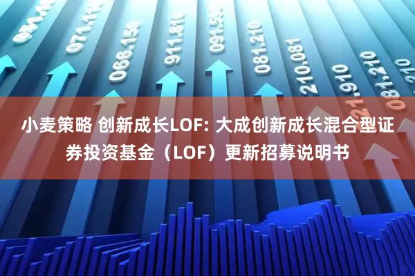 小麦策略 创新成长LOF: 大成创新成长混合型证券投资基金(LOF)更新招募说明书