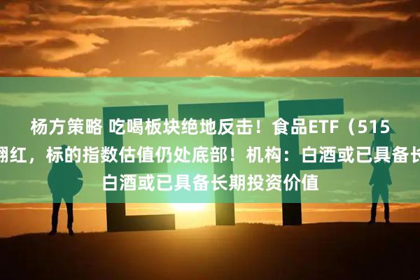 杨方策略 吃喝板块绝地反击！食品ETF（515710）拉升翻红，标的指数估值仍处底部！机构：白酒或已具备长期投资价值