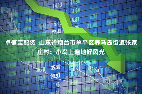 卓信宝配资  山东省烟台市牟平区养马岛街道张家庄村：小岛上遍地好风光