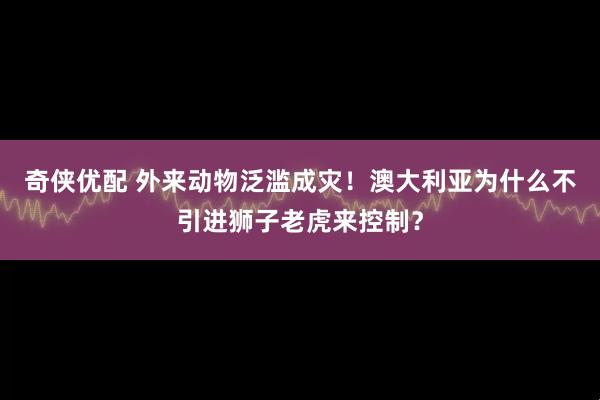 奇侠优配 外来动物泛滥成灾!澳大利亚为什么不引进狮子老虎来控制?