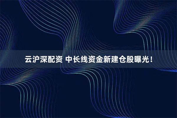 云沪深配资 中长线资金新建仓股曝光！