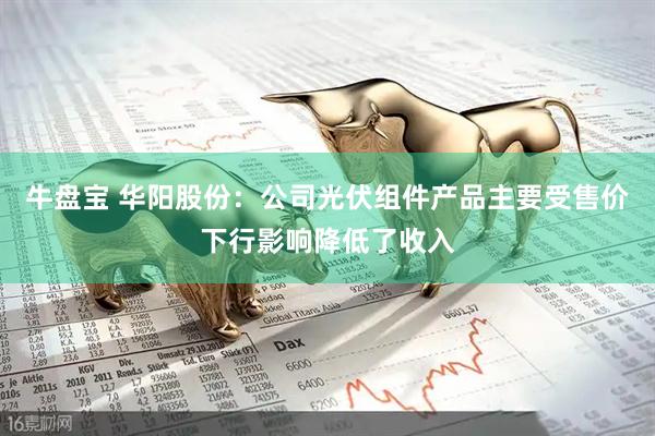 牛盘宝 华阳股份:公司光伏组件产品主要受售价下行影响降低了收入